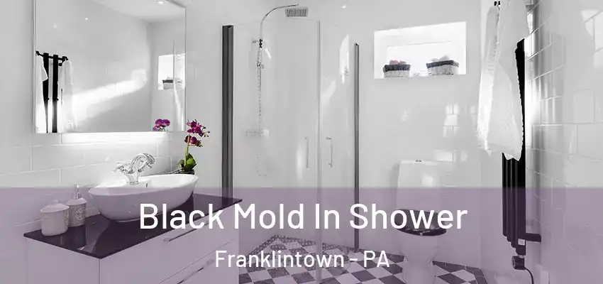  Black Mold In Shower Franklintown - PA