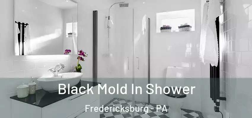  Black Mold In Shower Fredericksburg - PA