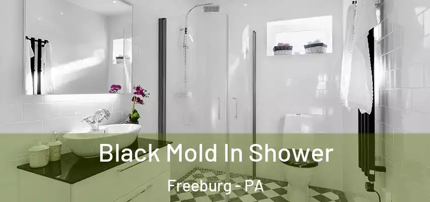  Black Mold In Shower Freeburg - PA