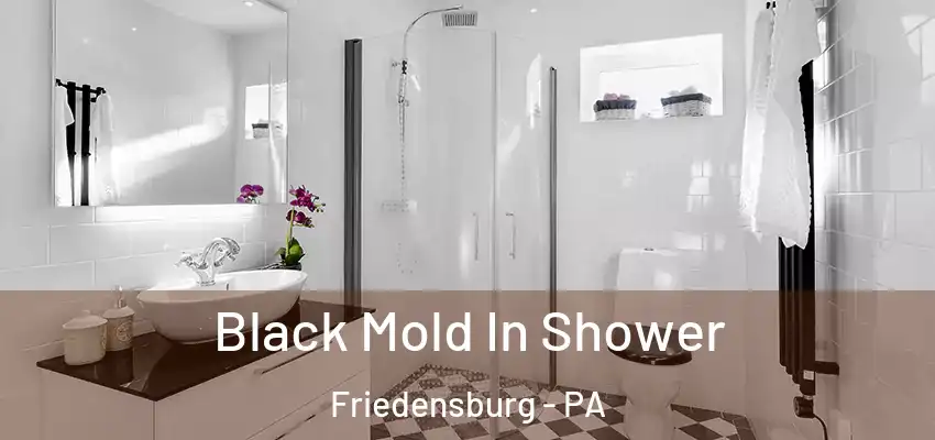 Black Mold In Shower Friedensburg - PA