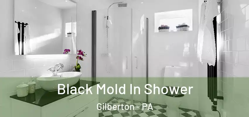  Black Mold In Shower Gilberton - PA