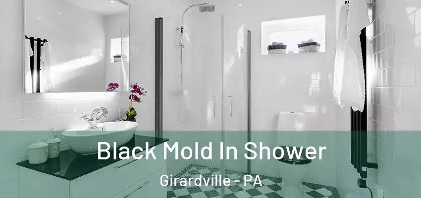 Black Mold In Shower Girardville - PA