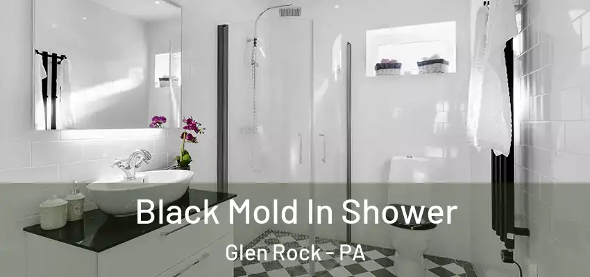  Black Mold In Shower Glen Rock - PA