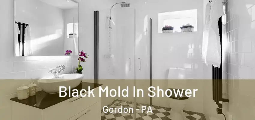  Black Mold In Shower Gordon - PA