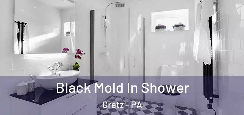 Black Mold In Shower Gratz - PA