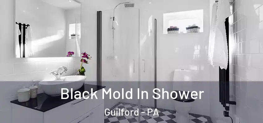  Black Mold In Shower Guilford - PA