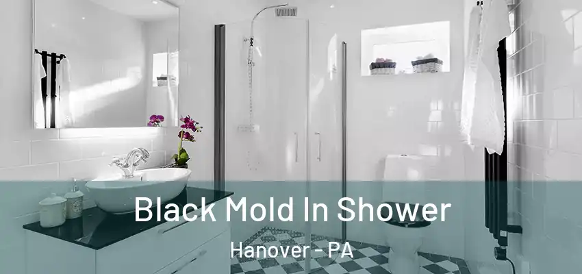 Black Mold In Shower Hanover - PA