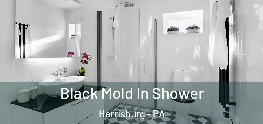 Black Mold In Shower Harrisburg - PA