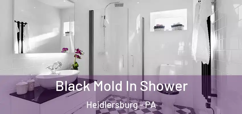  Black Mold In Shower Heidlersburg - PA
