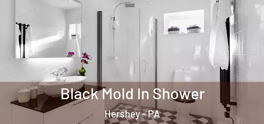 Black Mold In Shower Hershey - PA