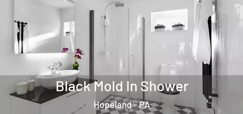 Black Mold In Shower Hopeland - PA