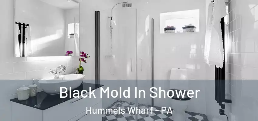  Black Mold In Shower Hummels Wharf - PA