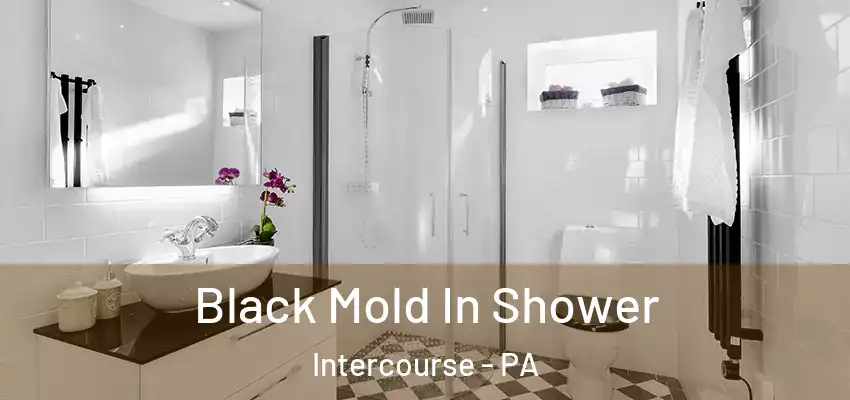 Black Mold In Shower Intercourse - PA