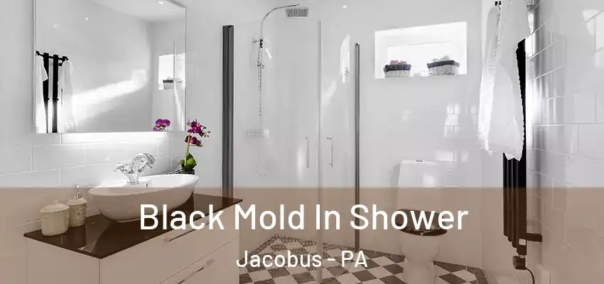  Black Mold In Shower Jacobus - PA