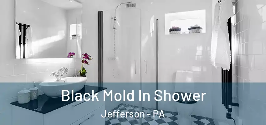 Black Mold In Shower Jefferson - PA