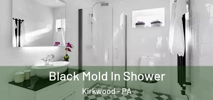  Black Mold In Shower Kirkwood - PA