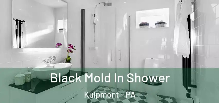  Black Mold In Shower Kulpmont - PA