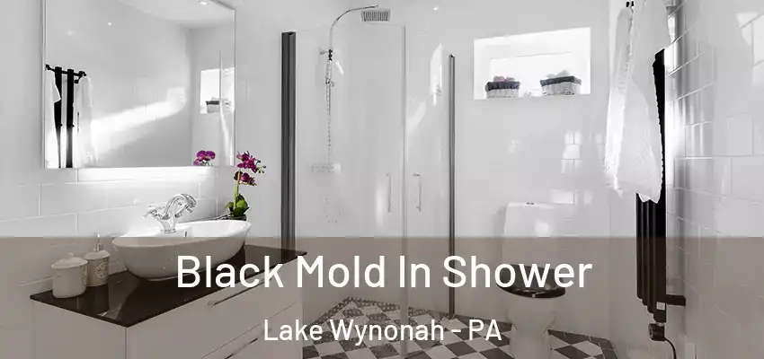 Black Mold In Shower Lake Wynonah - PA