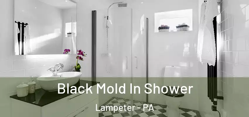 Black Mold In Shower Lampeter - PA