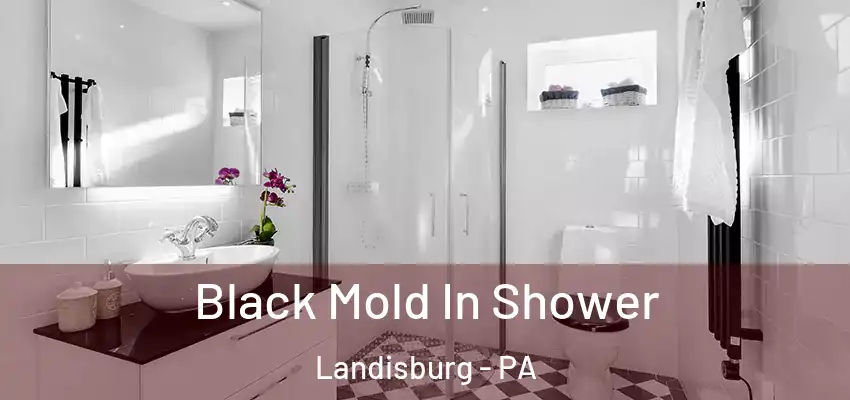  Black Mold In Shower Landisburg - PA