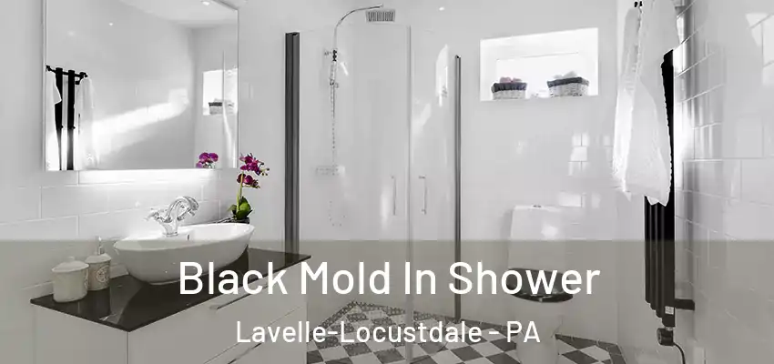 Black Mold In Shower Lavelle-Locustdale - PA