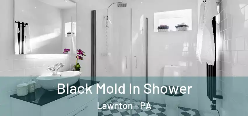  Black Mold In Shower Lawnton - PA