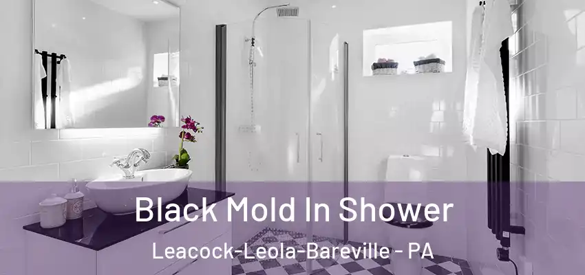  Black Mold In Shower Leacock-Leola-Bareville - PA
