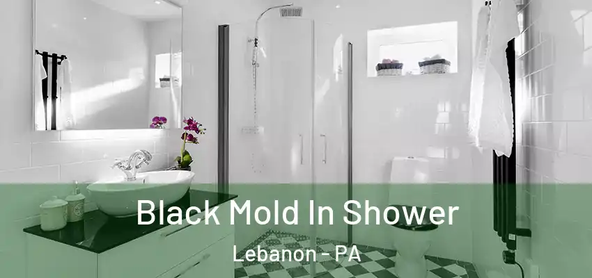Black Mold In Shower Lebanon - PA