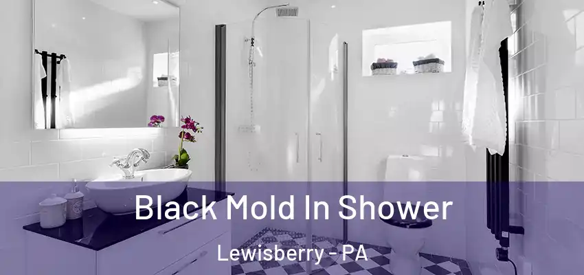 Black Mold In Shower Lewisberry - PA