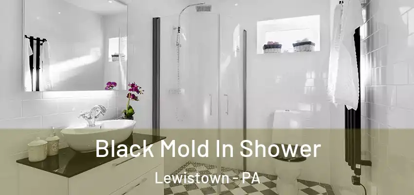 Black Mold In Shower Lewistown - PA