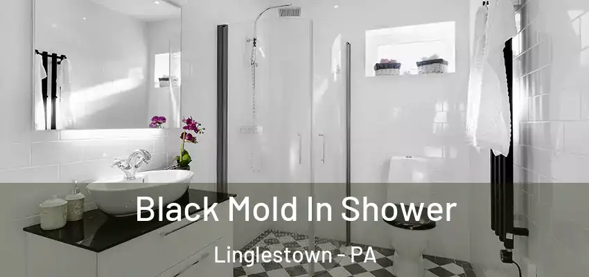 Black Mold In Shower Linglestown - PA