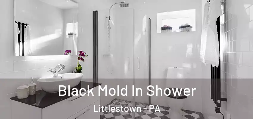  Black Mold In Shower Littlestown - PA