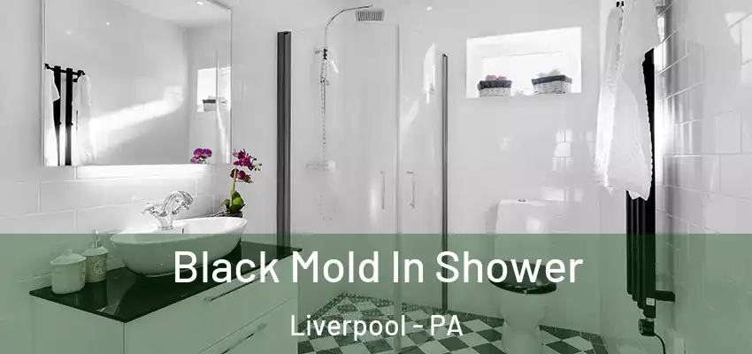 Black Mold In Shower Liverpool - PA