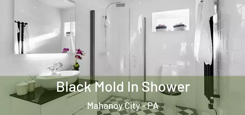Black Mold In Shower Mahanoy City - PA