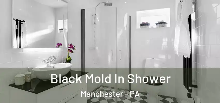 Black Mold In Shower Manchester - PA