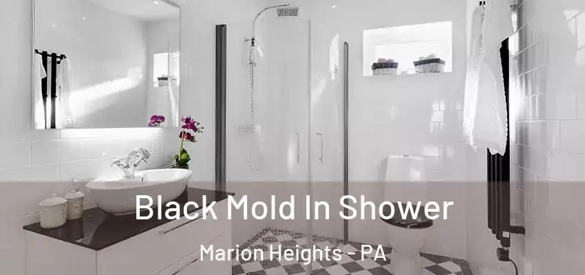  Black Mold In Shower Marion Heights - PA