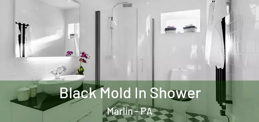  Black Mold In Shower Marlin - PA