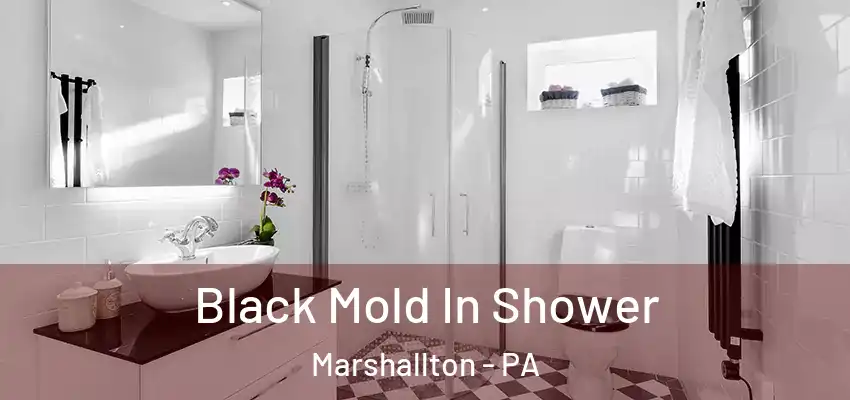 Black Mold In Shower Marshallton - PA