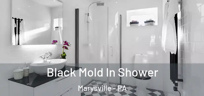  Black Mold In Shower Marysville - PA