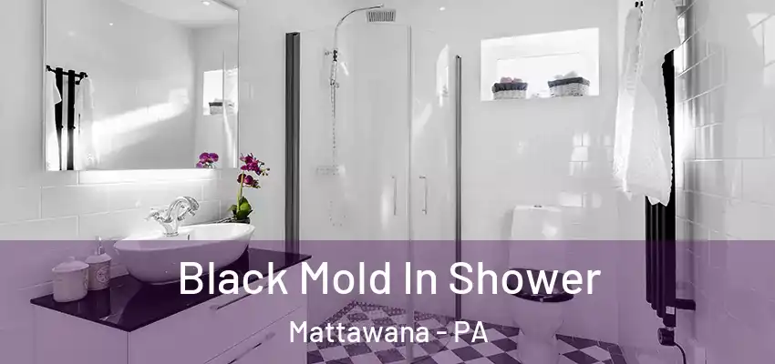 Black Mold In Shower Mattawana - PA
