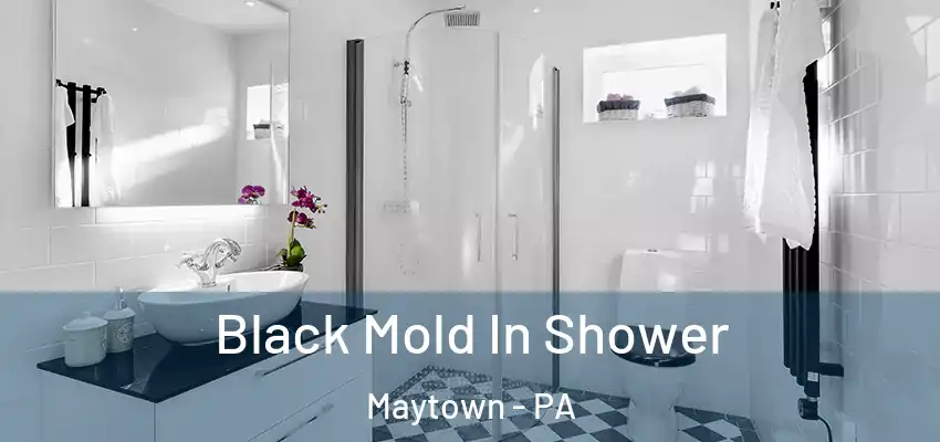 Black Mold In Shower Maytown - PA