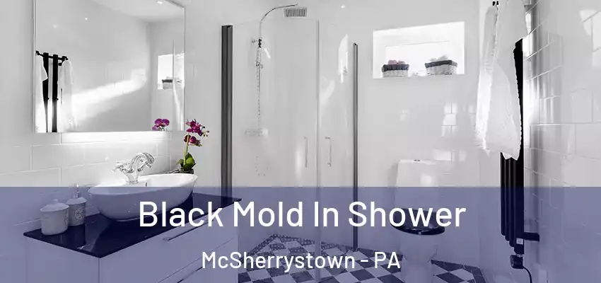 Black Mold In Shower McSherrystown - PA
