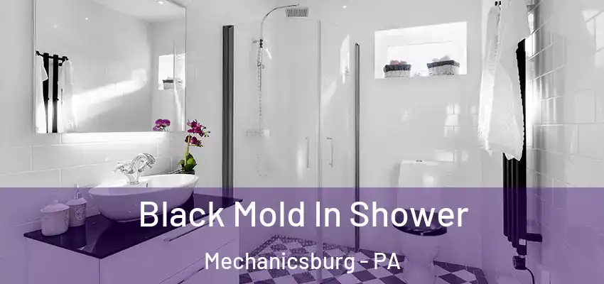  Black Mold In Shower Mechanicsburg - PA