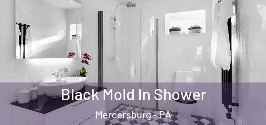 Black Mold In Shower Mercersburg - PA