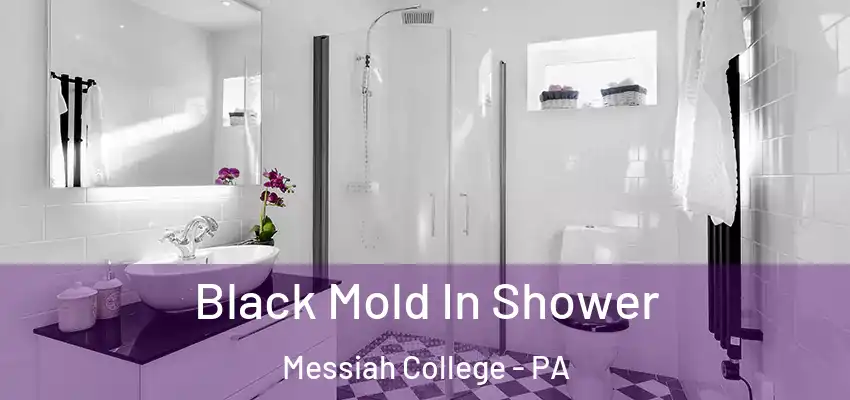  Black Mold In Shower Messiah College - PA
