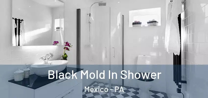 Black Mold In Shower Mexico - PA