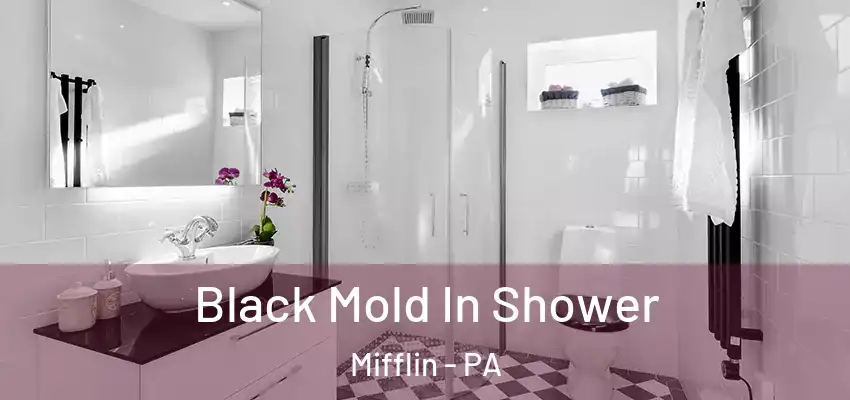  Black Mold In Shower Mifflin - PA