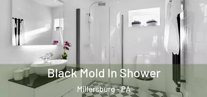 Black Mold In Shower Millersburg - PA