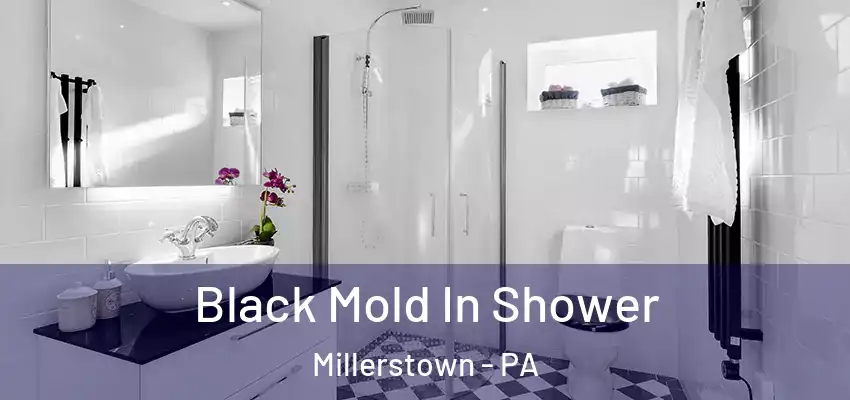  Black Mold In Shower Millerstown - PA