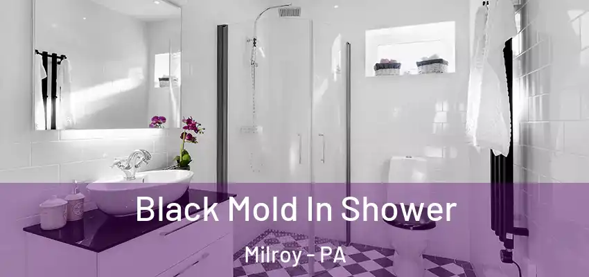 Black Mold In Shower Milroy - PA